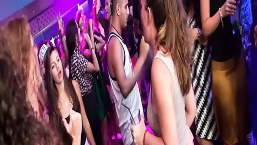 sadık korkak aldatmak