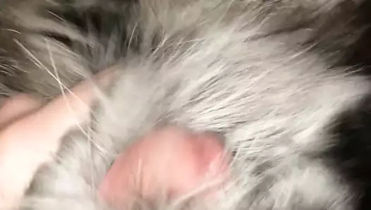 gümüş tilki kürkü ile mastürbasyon ve sağladım