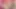 Lezbiyen latin orta yaşlı seksi kadın sarışın tarafından yalıyor ve oyuncağı