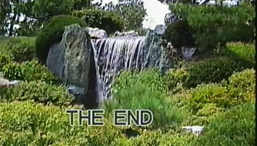 Nvp 075, büyük baskın kediler birbirine karıştığında - tammy reynolds vs mick