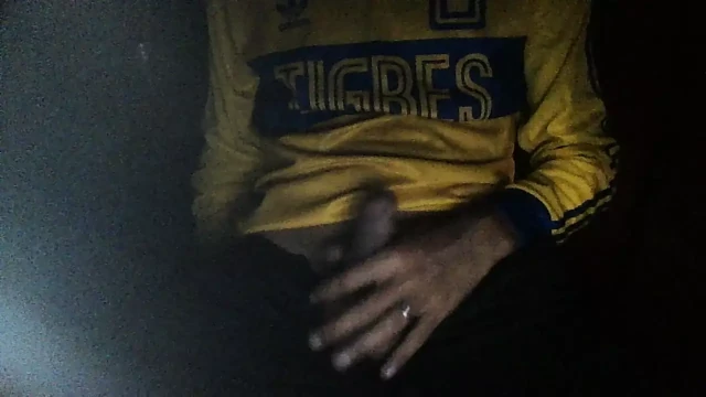 MARTES DE FUT VE BOŞALMA