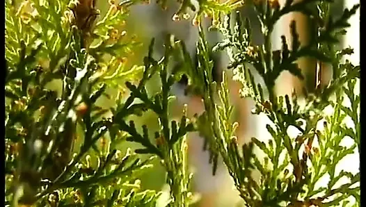 İç çamaşırlı siyah saçlı genç kaltak amcığını parçalıyor