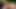 Solo im Gruenen da bingt er zum Date ein Dildo mit