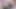Seksi genç kız amına binmeden önce yarak emmeyi seviyor