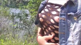 Busty bayan açıkta kapalı alır