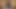 Travesti anal dildo