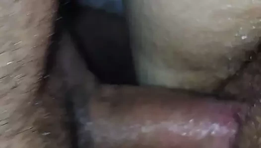 Kraliçe colleen ve johnny kedi