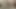 O şehvetli kayınvalidesi değil beceriyor
