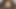 Victoria Justice - pamella roland defilesi new york 2020