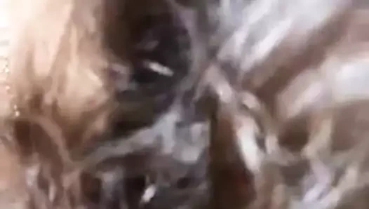 karısı berbat kapalı benim en iyi arkadaşım açık havada