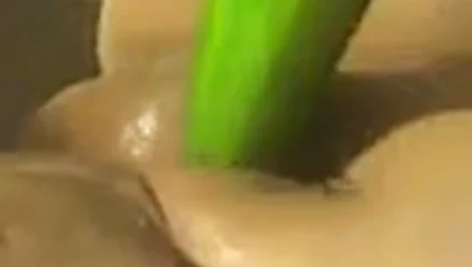 Salatalık ıslak kedi karşılar