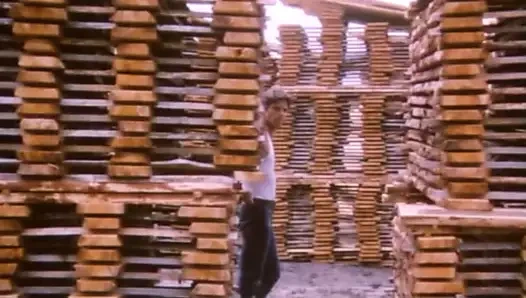 Une Vraie Jeune Fille