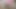 Pembe külotumla yarağını ovuyorum ve sonra beni sikiyor, amına boşalıyor
