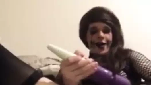 Çok güzel kedicik döl içinde