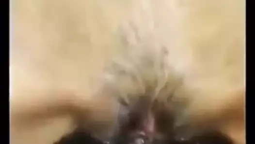 Nisha küçük klips ile büyük baştankara