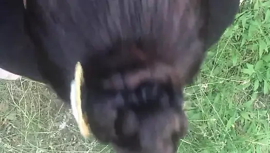 Edepsiz esmer hatun açık havada sakso çekiyor