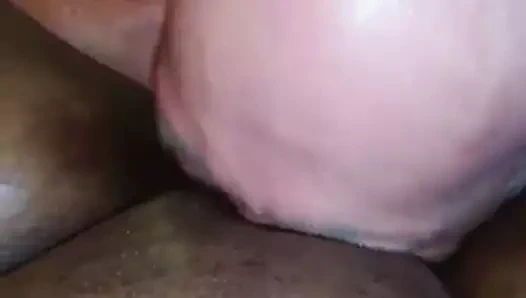 Beyaz usta cezalandırma siyah kedi