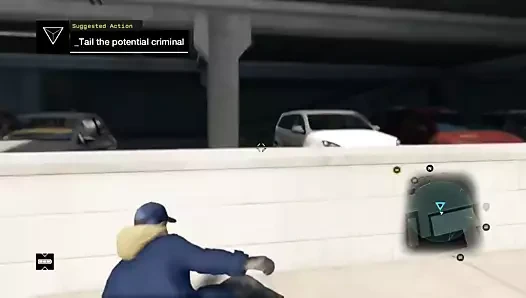 Köpek izle - araba böceği üzerinde araba