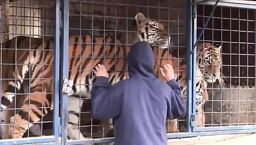 Sonuna kadar anal zevk - (prezervatifsiz) - sahne 01