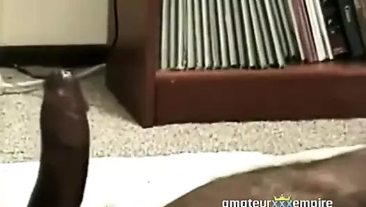 Bbw becerdin tarafından siyah horoz