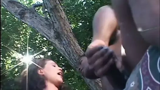 Sevimli esmer sürtük parkta bir siyah tarafından eşek alır