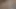 Seni itaatkar çöp parçası, beni görünce azmamaya çalış!