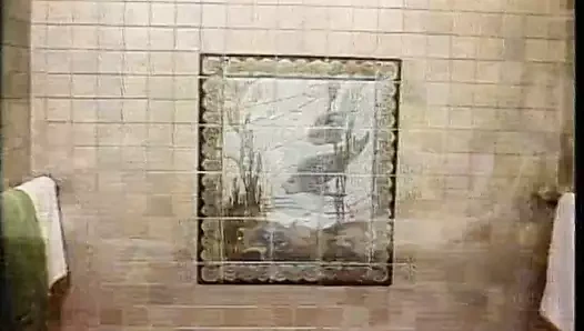 Aşk düzenlemesi (1981, biz, 35 mm, tam film, dvd)