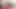 Küçük kimmy amatör sahnede mastürbasyon yapıyor