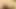 Porno inek: Sydney: ırklararası amcık