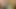 Sevimli femboy sikiş makinesiyle seks yapıyor