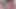 Nina Roberts ateşli latinlerle Fransız lezbiyen grup seks - sert dildo sikişi