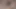 3 boyutlu azgın sürtük bebek çıplak mükemmel göğüslerini büyük yarakla aldatıyor