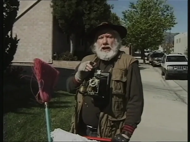 Zevk duyguları