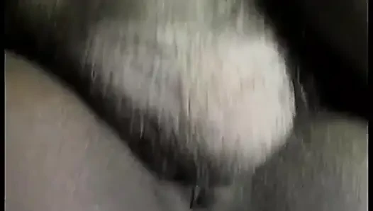 Ateşli zenci bebek soyunuyor ve sonra büyük siyah yarağı emiyor