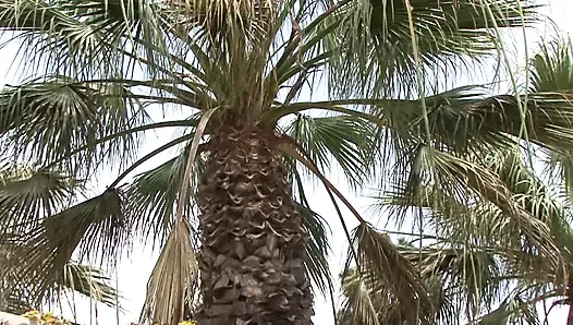 Brandy aniston olduğunu bir milf librarian