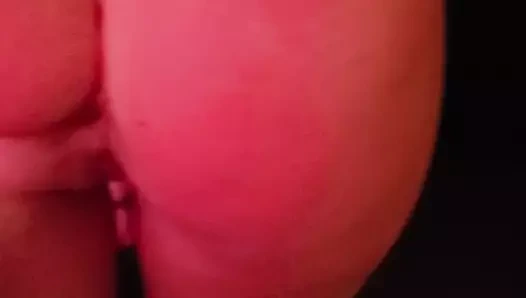 Güzel kırmızı kafa biraz horoz almak için hazırlanıyor