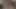 Ateşli kızlar birlikte büyük bir dildoya binerken inliyor