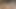 Seksi lezbiyen amcık yalama porno