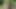 HUNT4K. Blonde loved facesitting and doggy style with Hunter outdoors