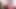 3'lü porno - şanslı bir adam üçlü sekste iki mürekkepli kız tarafından emiliyor
