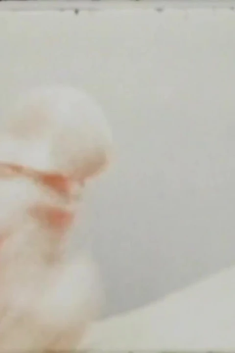 Kirli Domuz Fahişesi