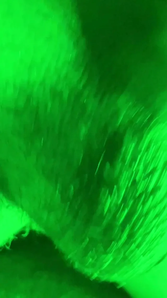 Jeeahhmanhere