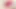 The Bad Peach 4 Tongue Licking Vibrator - She Cums Hard with Real Licking Orgasm - Close Up No Face