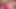 Femboy Masözünü Çağırıyor
