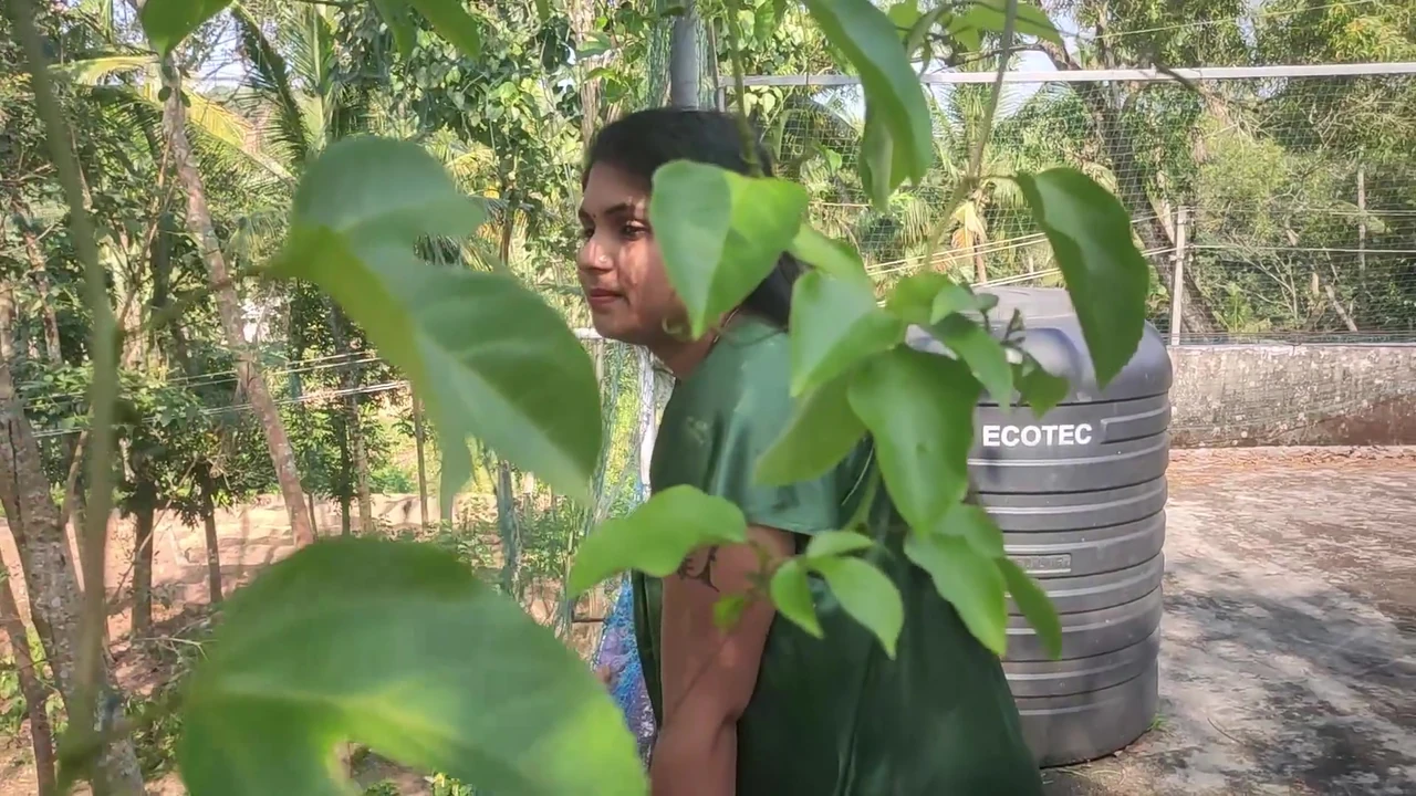 वैष्णवी और शरुन राज आउटडोर रोमांस और सेक्स का आनंद ले रहे हैं