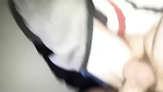 Beyaz horoz siyah hamile kedi