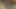 Sarah kahrolası deneyim ile ırklararası eylemi kazıyor