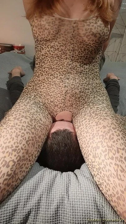 Leopar yüz oturuyor!