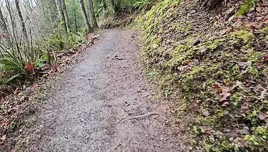 Yağmurlu Bir Günde Yürüyüş-n-sidik