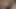Fresh Pink Reveal. Samimi aralıkta geniş açık yakın çekim gözlemi